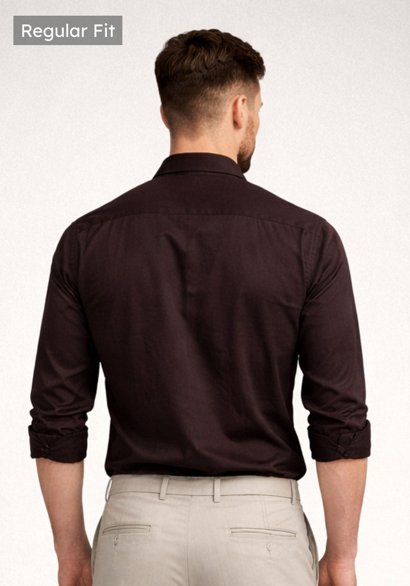 Regular Fit Luxe Shine Brown Shirt